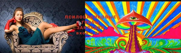 соль курить ск Алзамай