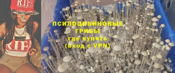 героин Алексин