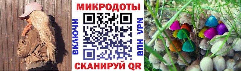 МЕГА ONION  Кулебаки  Псилоцибиновые грибы Psilocybe 